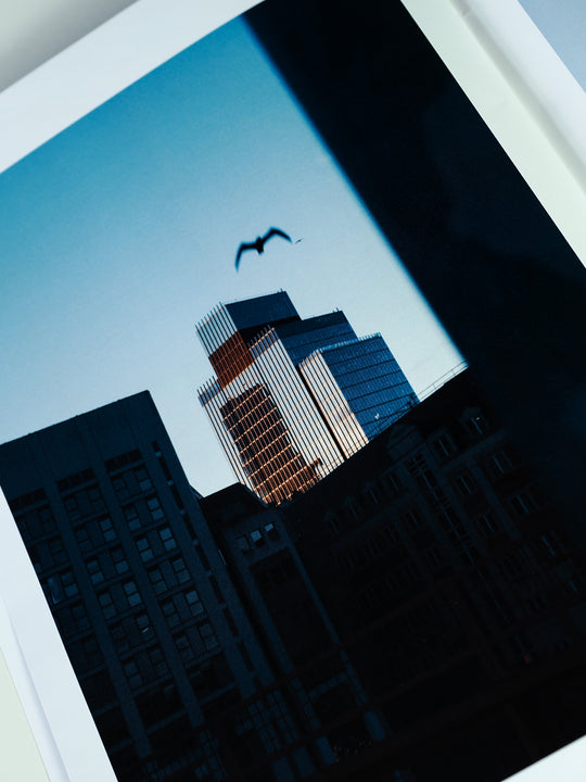 The Way the City Moves - Vol. 01